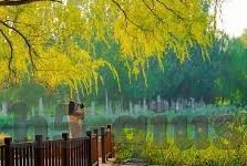 百家乐开户送彩金58-百家乐开户送彩金58，开启娱乐新体验