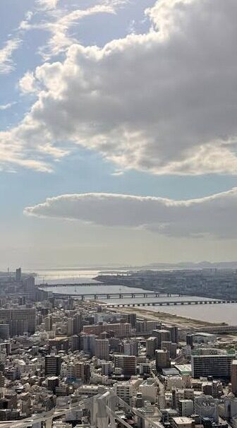 有没有森林舞会单机版-有没有森林舞会单机版，一场虚拟森林中的欢乐聚会