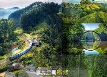 足球比分比赛直播500-足球比分与比赛直播，500字背后的激情与数据盛宴