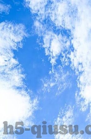 足球比分网比-足球比分网，球迷的数字战场与数据盛宴